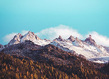 电竞对战-韦世豪新发型至少还能留5天？卡纳瓦罗：真没法看